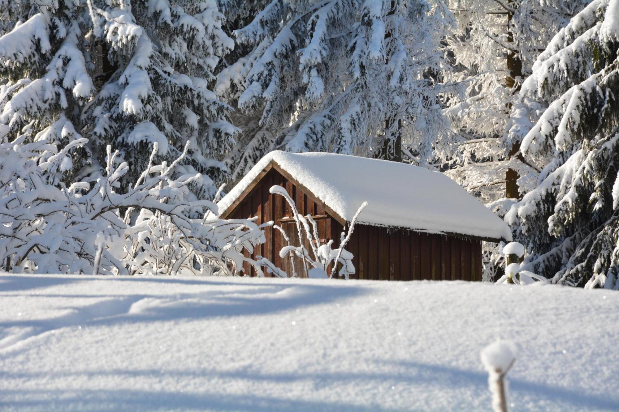 Waldgasthof Bad Einsiedel Seiffen Esterno foto
