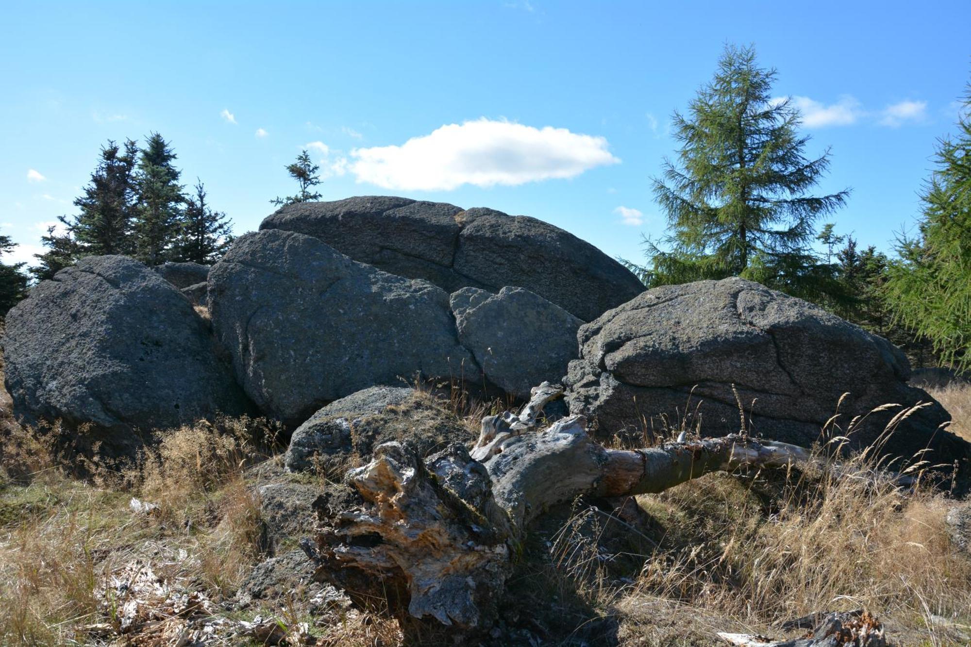 Waldgasthof Bad Einsiedel Seiffen Esterno foto