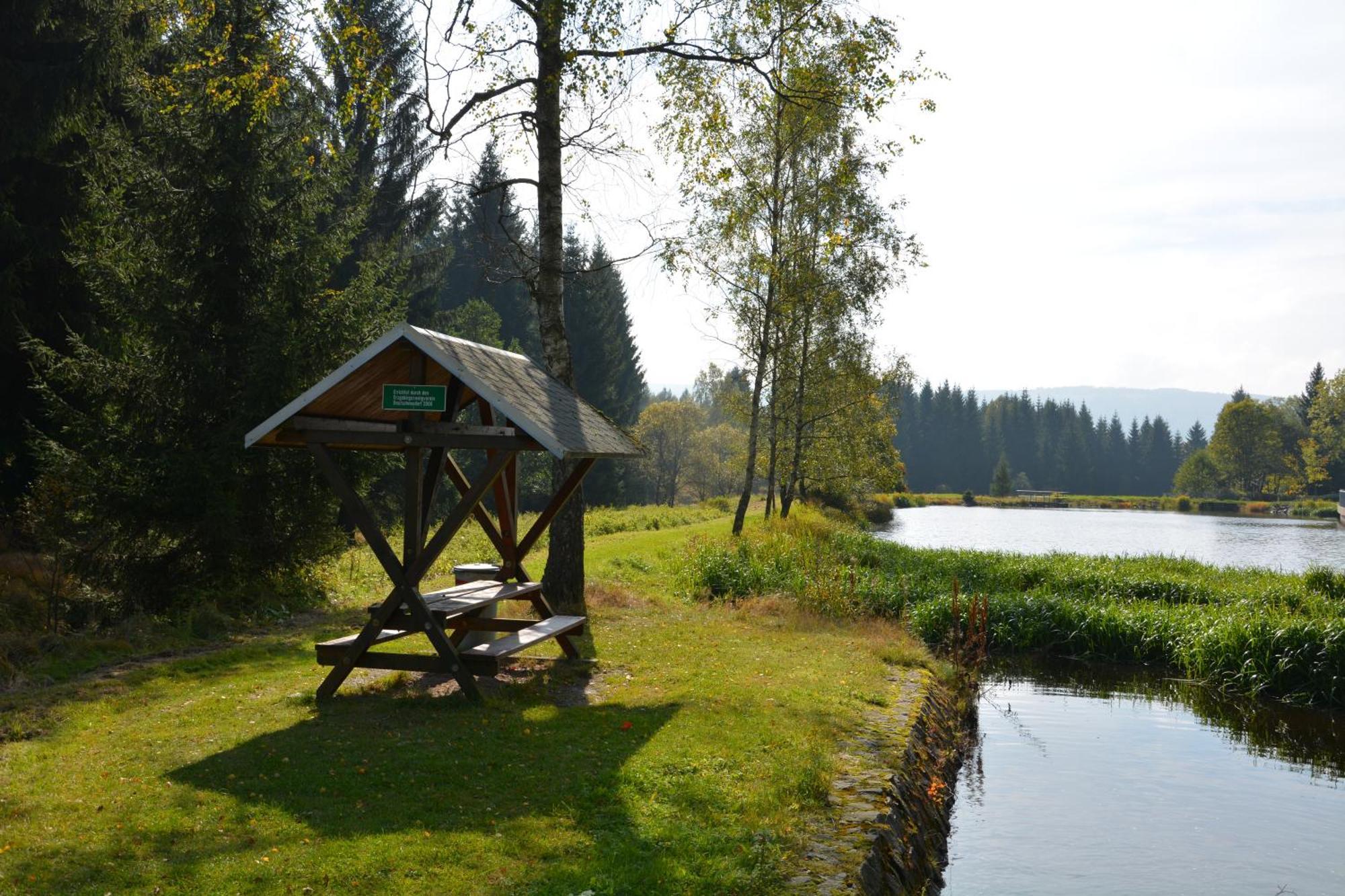Waldgasthof Bad Einsiedel Seiffen Esterno foto