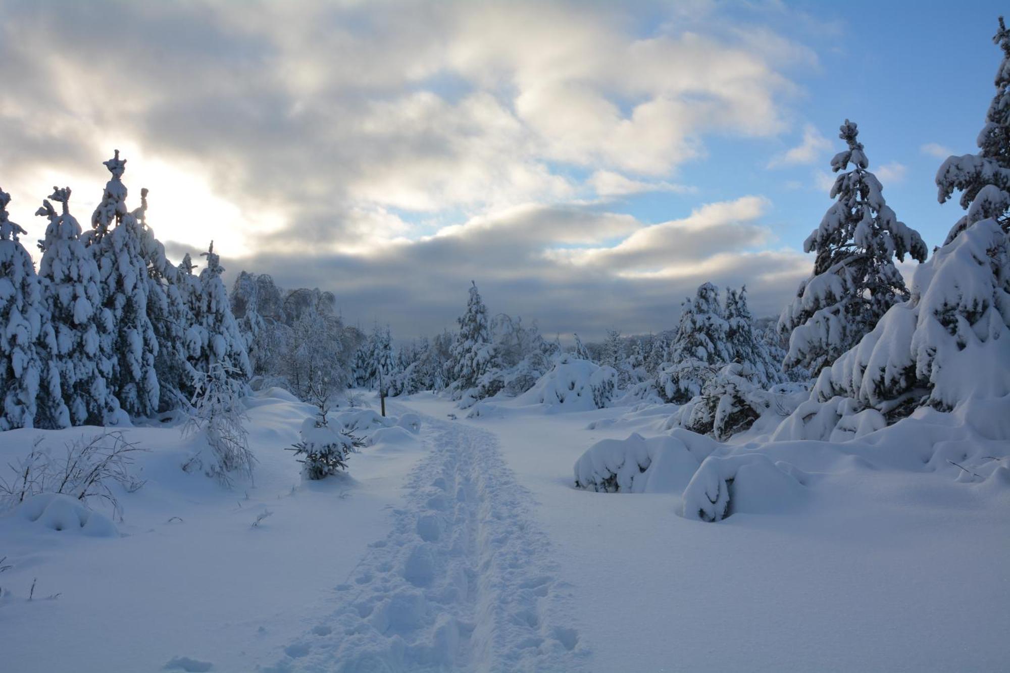 Waldgasthof Bad Einsiedel Seiffen Esterno foto