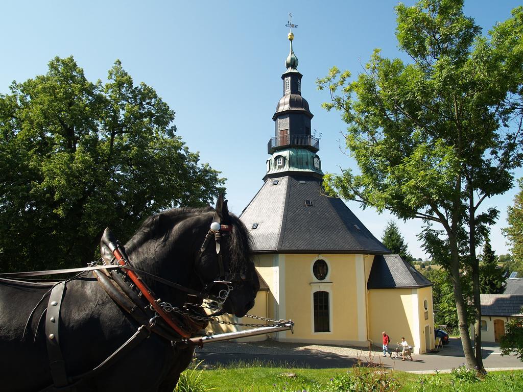 Waldgasthof Bad Einsiedel Seiffen Esterno foto